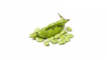 FAVA