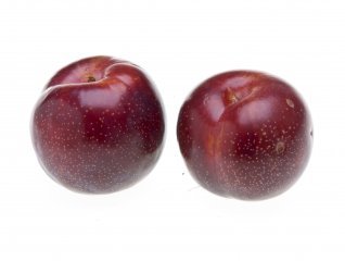 AMEIXA FRESCA