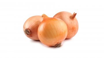 CEBOLA