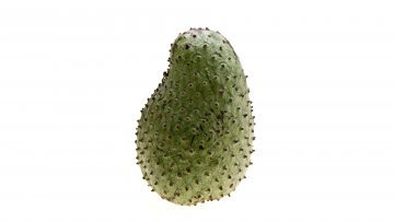 GRAVIOLA