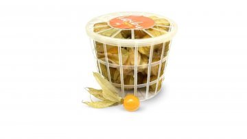 PHYSALIS BDJ