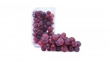 UVA REDGLOBE BDJ C/500 GR