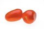 TOMATE RASTEIRO