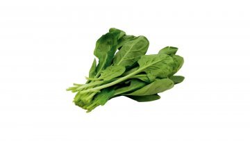 RÚCULA HIDROPONICA MAÇO